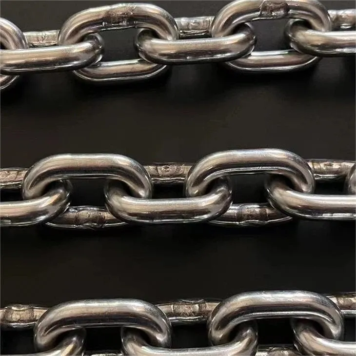 Łańcuch ze stali nierdzewnej na zawieszonej linii transportowej do uboju drobiu